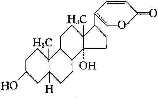 蟾蜍靈